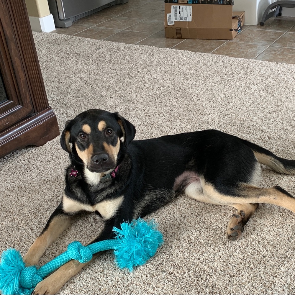 Meet your Posher, Tammy